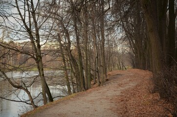 Path in autumn park