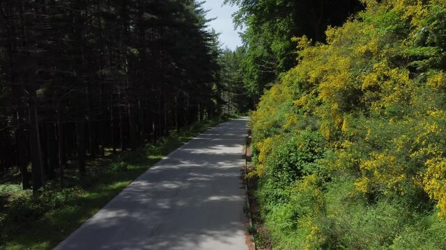 percorrere strade di montagna