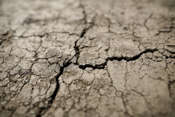 Shallow depth of field (selective focus) details with scorched earth under the strong sun of a...