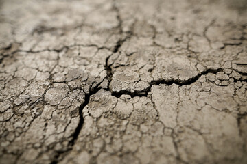 Shallow depth of field (selective focus) details with scorched earth under the strong sun of a summer day - drought.