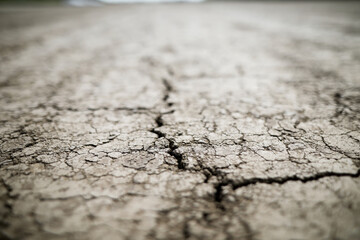 Shallow depth of field (selective focus) details with scorched earth under the strong sun of a...
