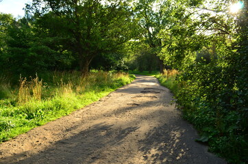 Path in the park