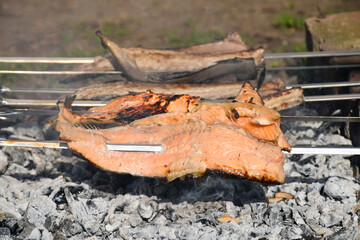 Fototapeta premium Fish kebab. Mackerel and trout on the fire