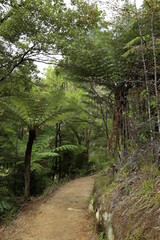 Urlaubsreise auf eine Insel mit einsamen Stränden
