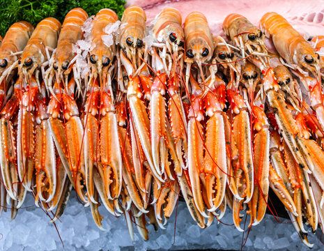 Pink pincers on craw fish for sale in market