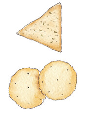 hand drawn watercolor illustration various crackers