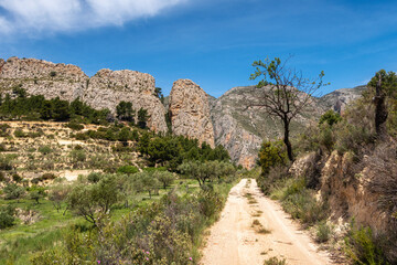 Fototapeta na wymiar Rural dirt and stony road, through a natural Mediterranean environment.