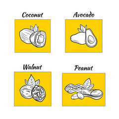 Vector set of nut icons, bright yellow design elements, oils, outline illustration template.
