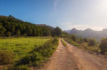 Fototapeta na wymiar Rural dirt and stony road, through a natural Mediterranean environment.