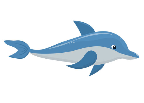 vector illustration of a dolphin isolated on a white background