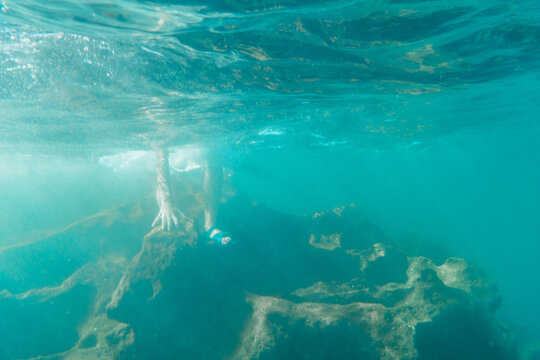 A young Caucasian brunette with flip flops getting into the water, underwater image, summer lifestyle