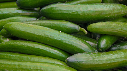 Green cucumbers in the market