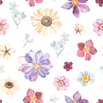 Floral watercolor seamless pattern with colorful flowers in herbarium style. Hand painting image, print in pastel colors isolated on white background.
