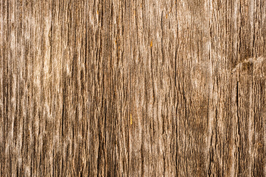 Old wooden wall. View close up
