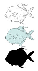 Obraz premium Vector set of ocean fish Selene. hand-drawn Selene sea fish in sketch style black outline and silhouette and silver image isolated vintage elements for menu design template, signage, labels