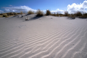 Fototapeta na wymiar Dutch dunes with white sand ripple pattern, beach grass on the beach with a blue sky with white clouds. Netherlands, Ameland 2021