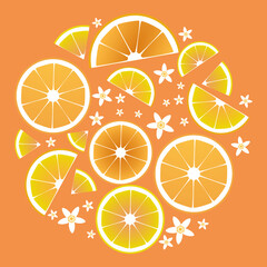 Citrus collection. Slices of orange and flowers circle