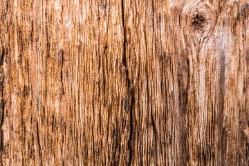 Old wooden wall with cracks and knots. View close up