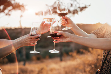 Fototapeta Friends clinking glasses with wine during picnic obraz
