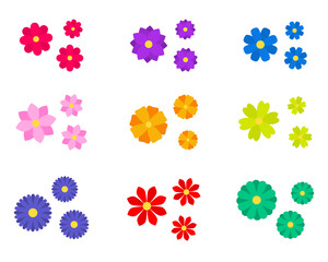 Collection of colorful flower isolated on white background. Set of blossom floral plant. Simple trendy cute cartoon vector icon illustration. Flat style graphic design element for art decoration.