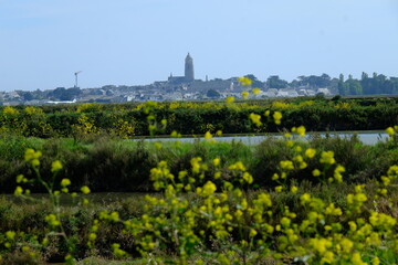 Fototapeta na wymiar The landscape of the salt marshes of Guérande. France, the 8th may 2021.
