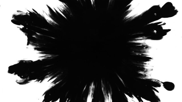 Super Slow Motion Shot of Black Ink Drop Isolated on White Background at 1000 fps.