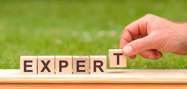 expert is a word written on wooden blocks, concept