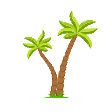 Palm tree vector island coconut cartoon icon. Palmtree island desert isolated tropical icon