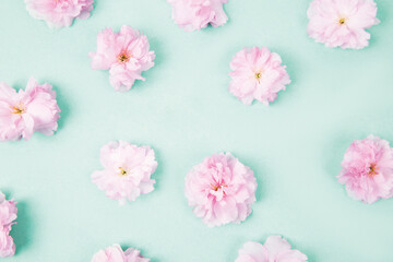 Fototapeta na wymiar Flower floral pattern with sakura flowers petals and on turquoise background