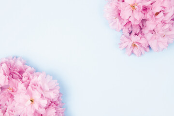 Spring nature background with lovely blossom