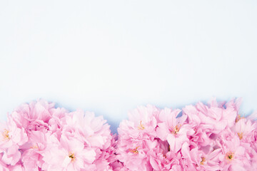 Spring nature background with lovely blossom