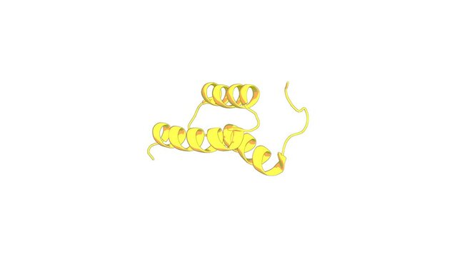 360&ordm; 3D rendering of a biological molecule. Polyglutamine length-dependent midfolding is confined to the Poly-Q region