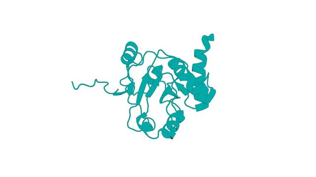 360&ordm; 3D rendering of a biological molecule. NMR-based Structural Analysis of Threonylcarbamoyl-AMP Synthase and Its Substrate Interactions.