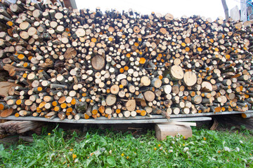 pile of fire woods stacked