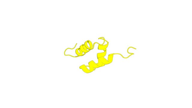 360&ordm; 3D rendering of a biological molecule. Solution structure of the RSGI RUH-046, a UBA domain from human Next to BRCA1 gene 1 protein (KIAA0049 protein) R923H variant