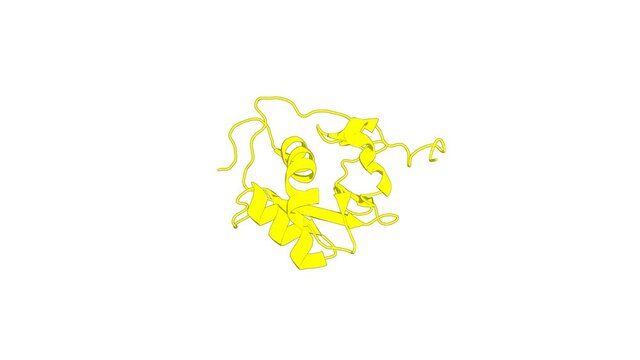360&ordm; 3D rendering of a biological molecule. Nuclear magnetic resonance structure of the nucleic acid-binding domain of severe acute respiratory syndrome coronavirus nonstructural protein 3.