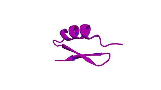 360º 3D rendering of a biological molecule. Novel Blocker of Onco SK3 Channels Derived from Scorpion Toxin Tamapin and Active against Migration of Cancer Cells