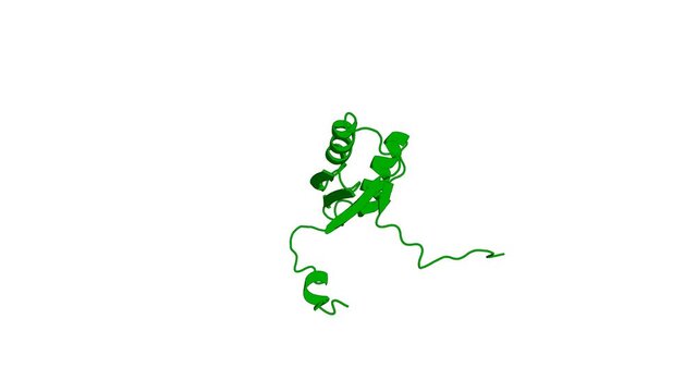360&ordm; 3D rendering of a biological molecule. Metal binding affinities of Arabidopsis zinc and copper transporters: selectivities match the relative, but not the absolute, affinities of their amino-term