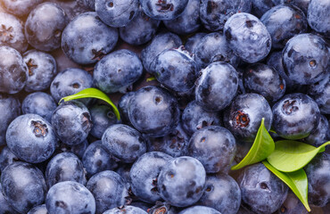 Fresh blueberry background. Blueberry Texture Close Blueberry Antioxidant Organic Superpeed Bowl Concept Healthy Nutrition