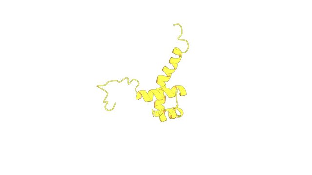 360&ordm; 3D rendering of a biological molecule. Distortion of the three-dimensional structure of the vnd/NK-2 homeodomain bound to DNA induced by an embryonically lethal A35T point mutation.