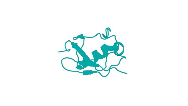 360&ordm; 3D rendering of a biological molecule. Solution Structure and Rpn1 Interaction of the UBL Domain of Human RNA Polymerase II C-Terminal Domain Phosphatase.