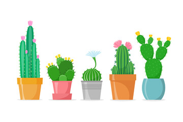 Flowered cactus set in a flat style. Different home cacti in pots. Blossomed house succulents. Isolated vector 