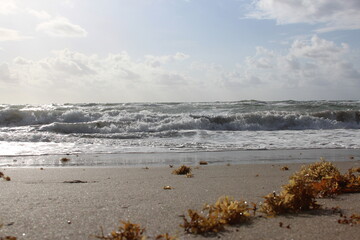 Ocean waves crashing on the shore