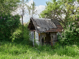 Fototapeta na wymiar Old, abandoned barn in the woods.