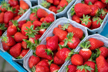 Saftig rote Erdbeeren im Sommer