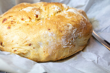 Sourdough cheese loaf bread on a kitchen rack cooling after baking in oven