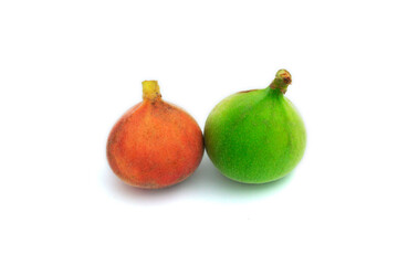 Red, Green and Yellow Cluster Fig (Goolar) Gular fig, Colorful Indian Cluster fig fruit isolated on white background