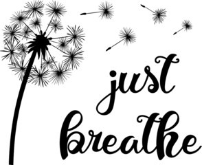 Dandelion blown on white background illustration with slogan just breathe