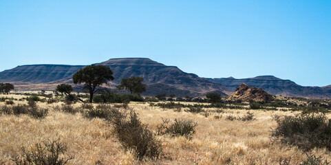 Fototapeta na wymiar typical landscape of namibia between kalahari and namib desert during self drive safari