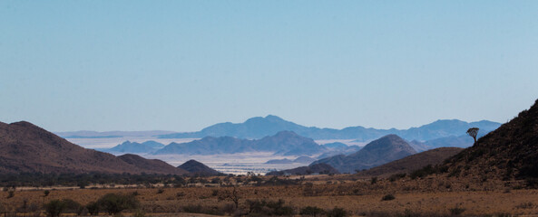 typical landscape of namibia between kalahari and namib desert during self drive safari - obrazy, fototapety, plakaty